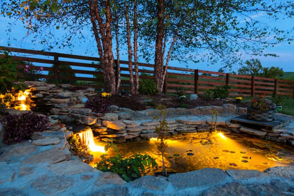 Garden pond with lights 