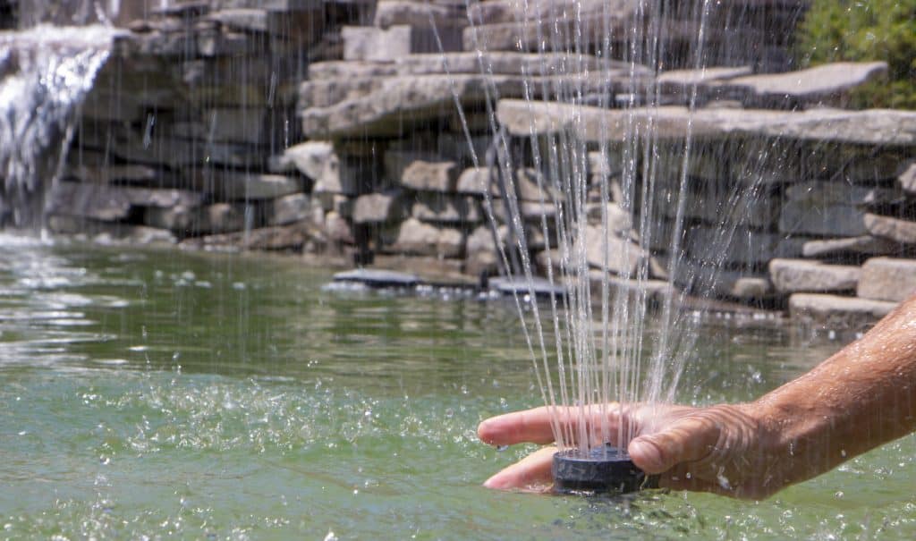 Perfect backyard with lots of greenery water cascading and a water fountain