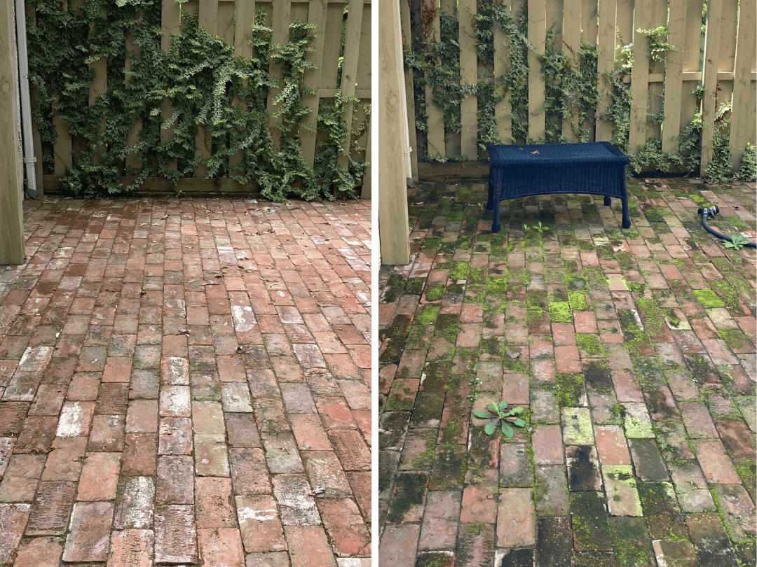 Brick patio maintenance