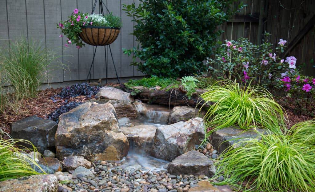 Backyard pond and waterfall