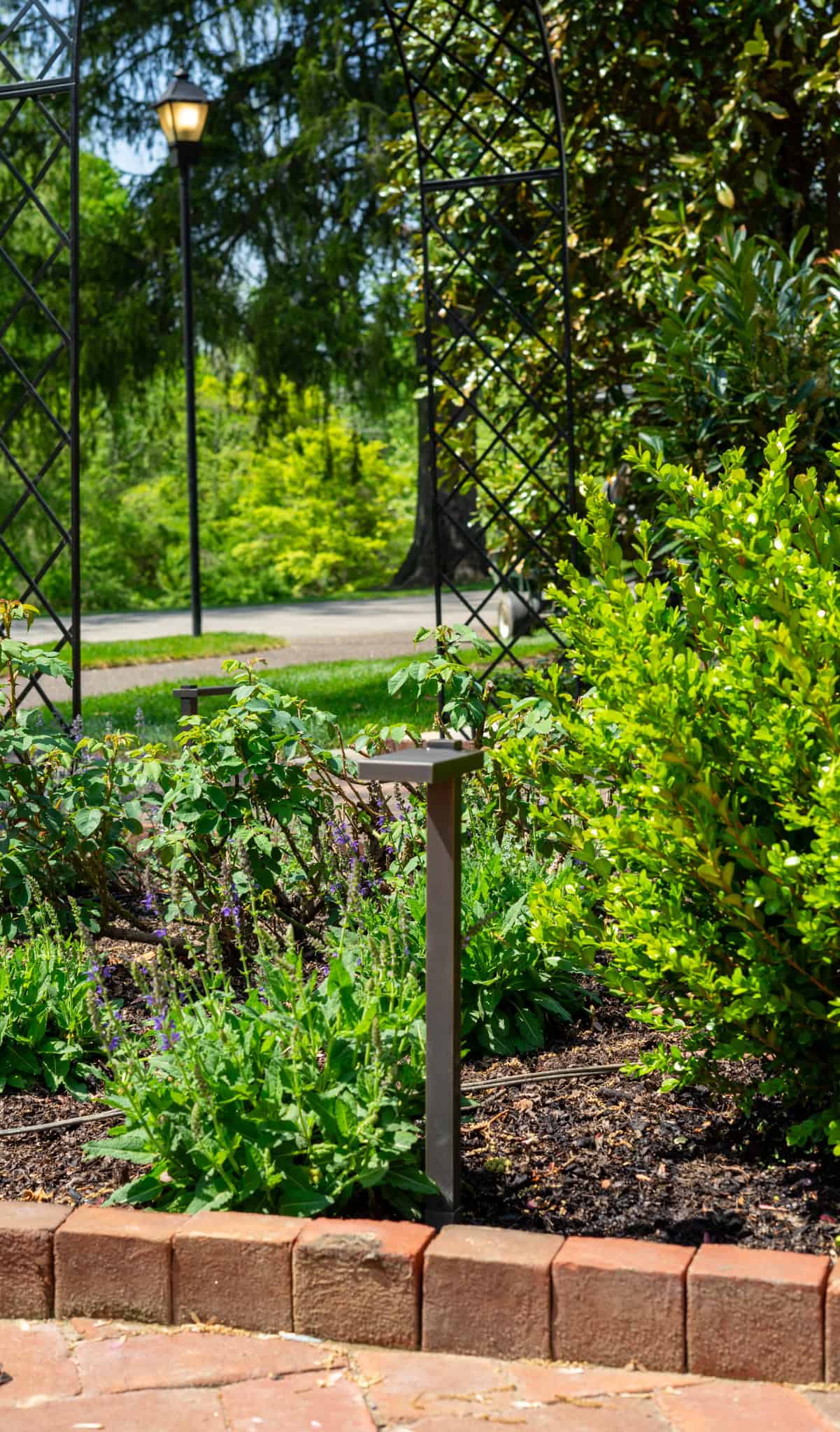 Outdoor Lighting Systems: A Review of Low-Voltage vs Solar Options