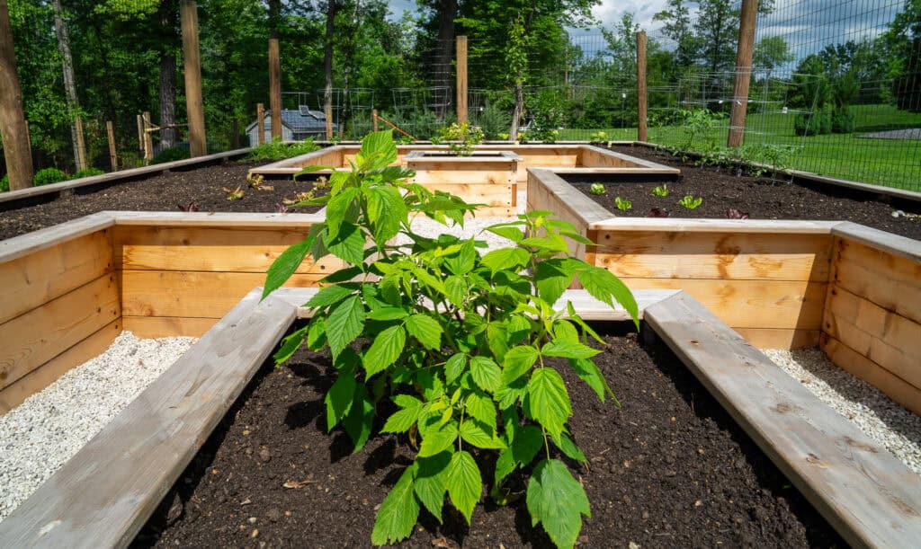 Spring yard projects include plantings